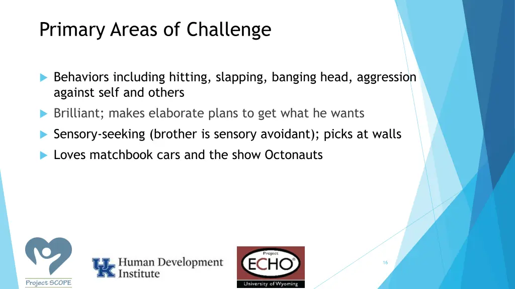 primary areas of challenge