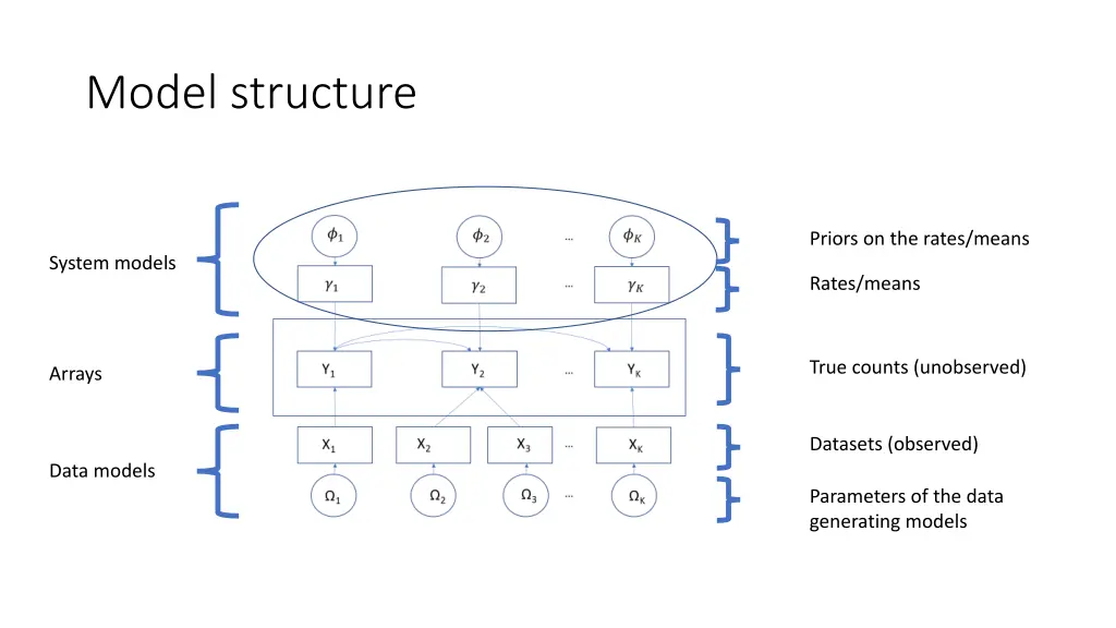 model structure