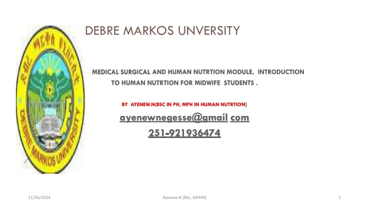 debre markos unversity