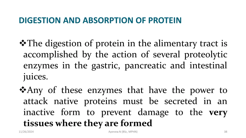 digestion and absorption of protein