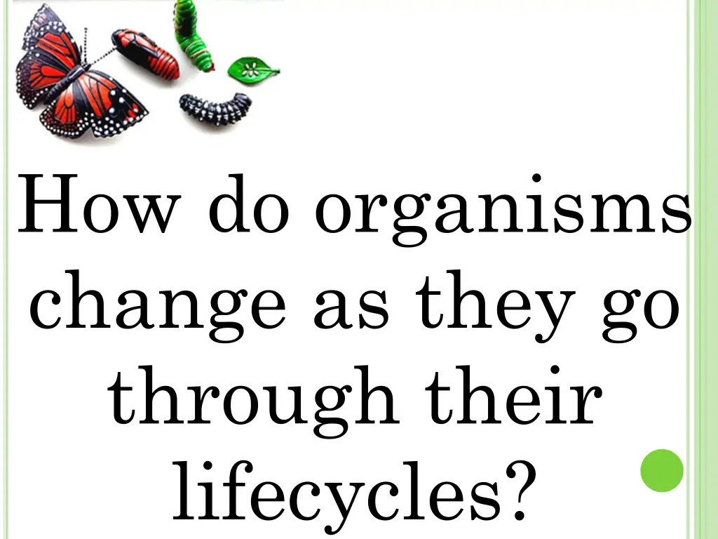 how do organisms change as they go through their