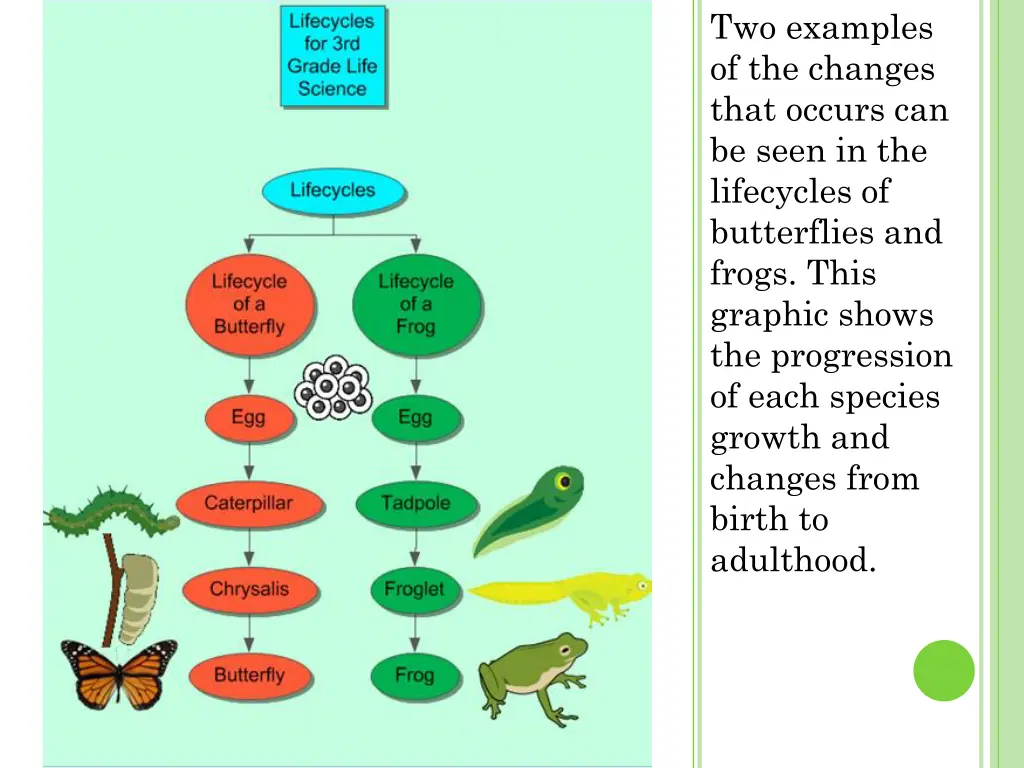 two examples of the changes that occurs