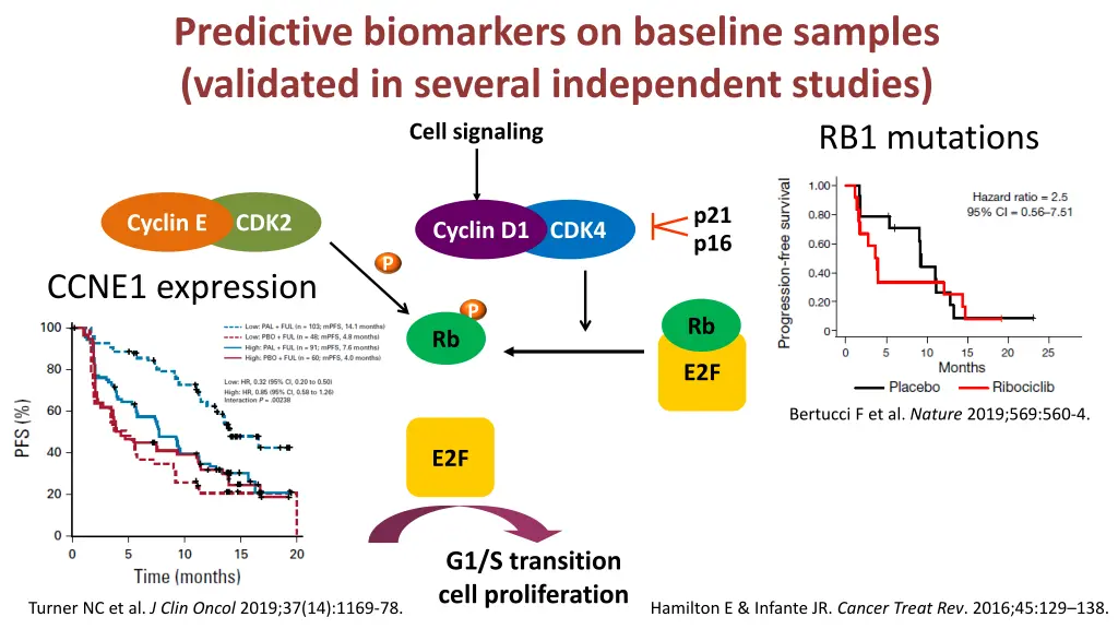 predictive biomarkers on baseline samples