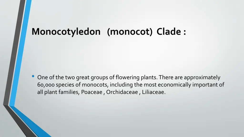 monocotyledon monocot clade