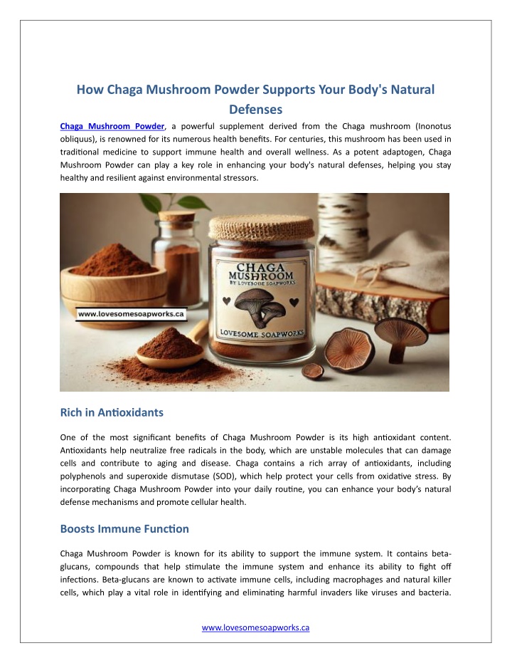 how chaga mushroom powder supports your body