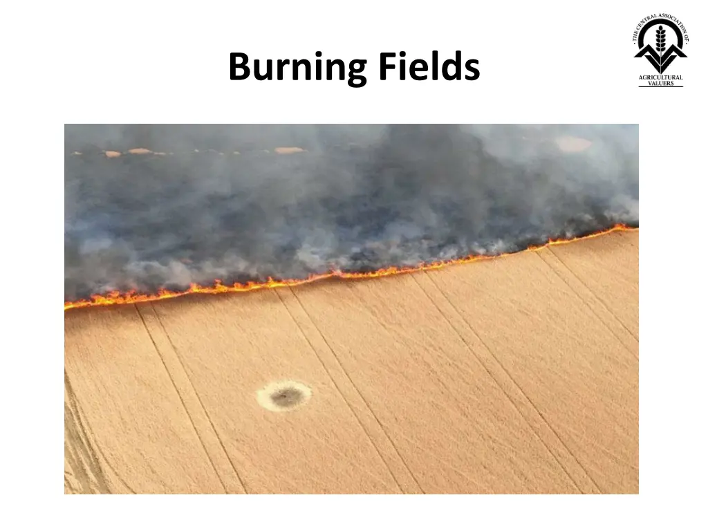 burning fields