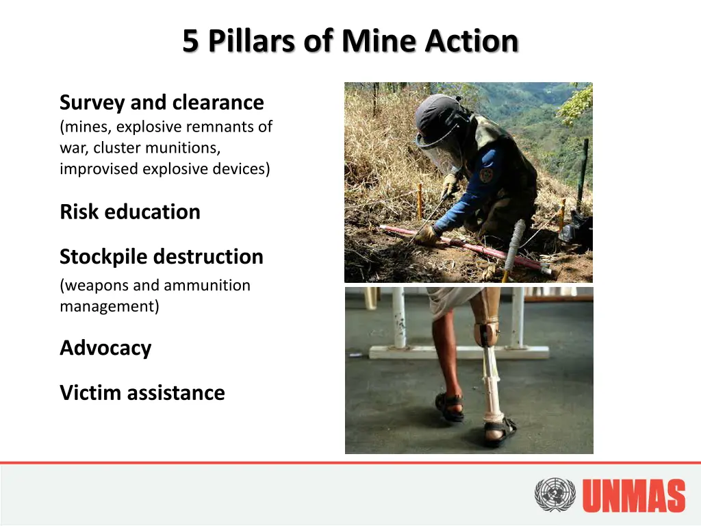 5 pillars of mine action