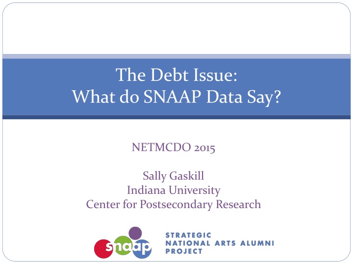 the debt issue what do snaap data say