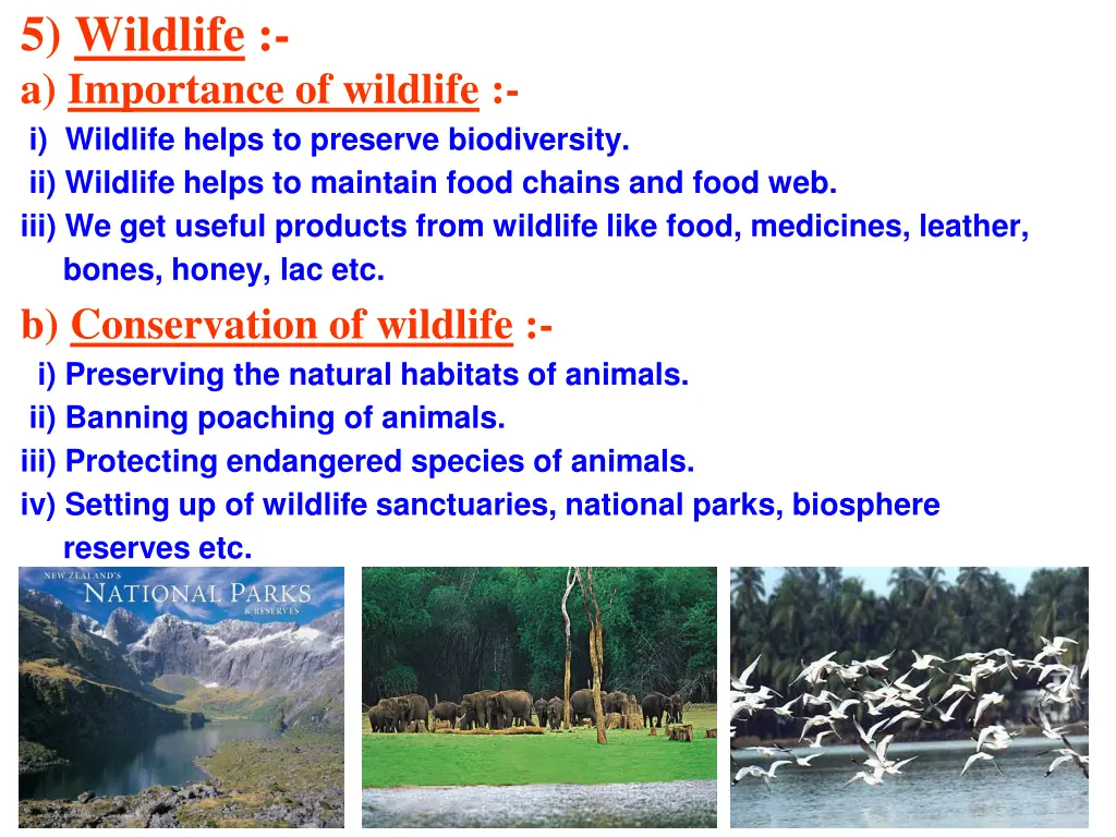 5 wildlife a importance of wildlife i wildlife