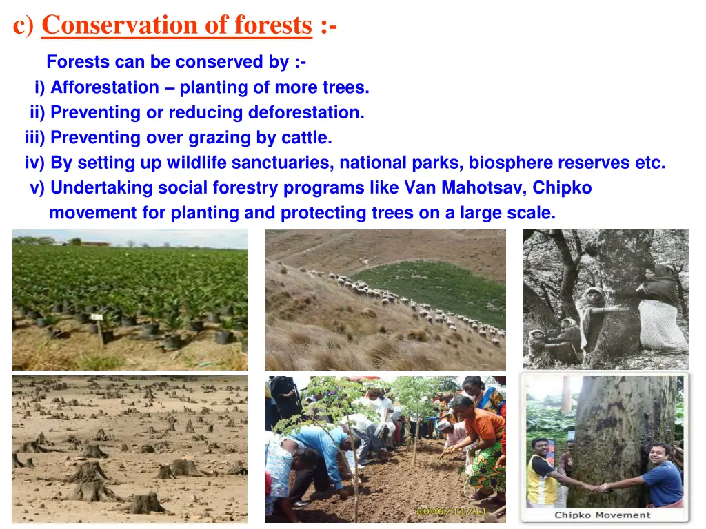 c conservation of forests