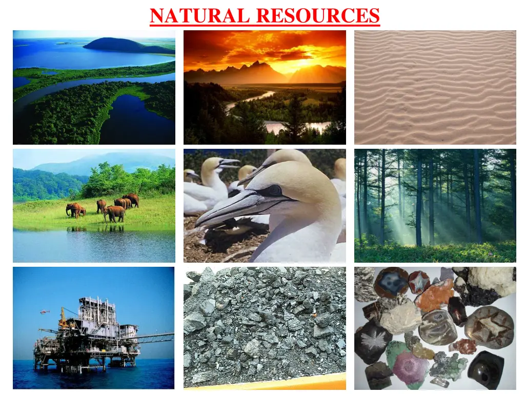 natural resources