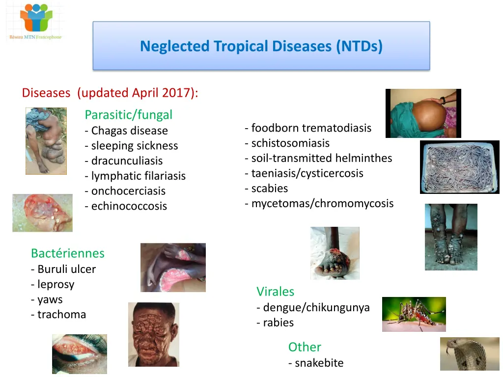 neglected tropical diseases ntds