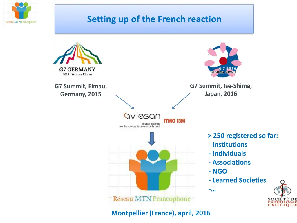 setting up of the french reaction