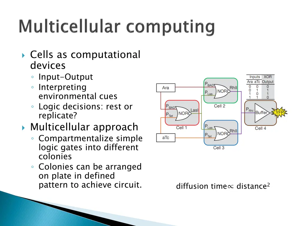 cells as computational devices input output