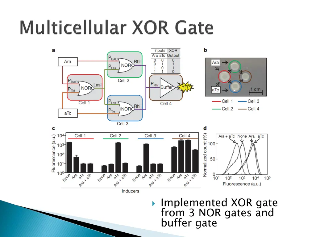 implemented xor gate from 3 nor gates and buffer