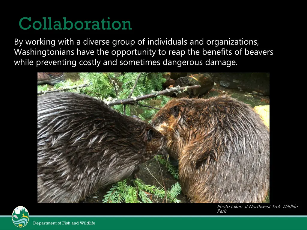 collaboration by working with a diverse group