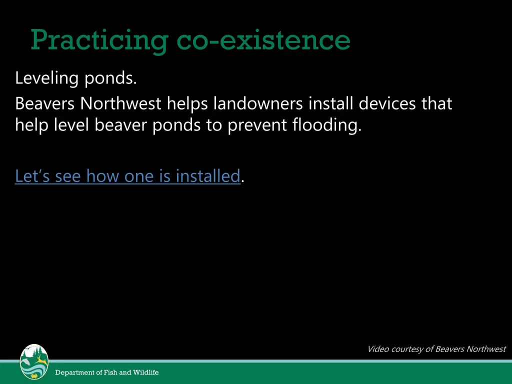 practicing co existence leveling ponds beavers