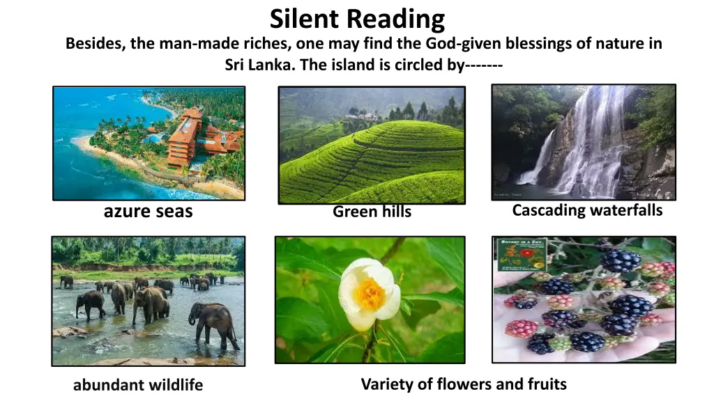 silent reading 4