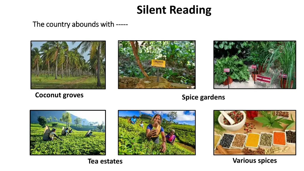 silent reading 5