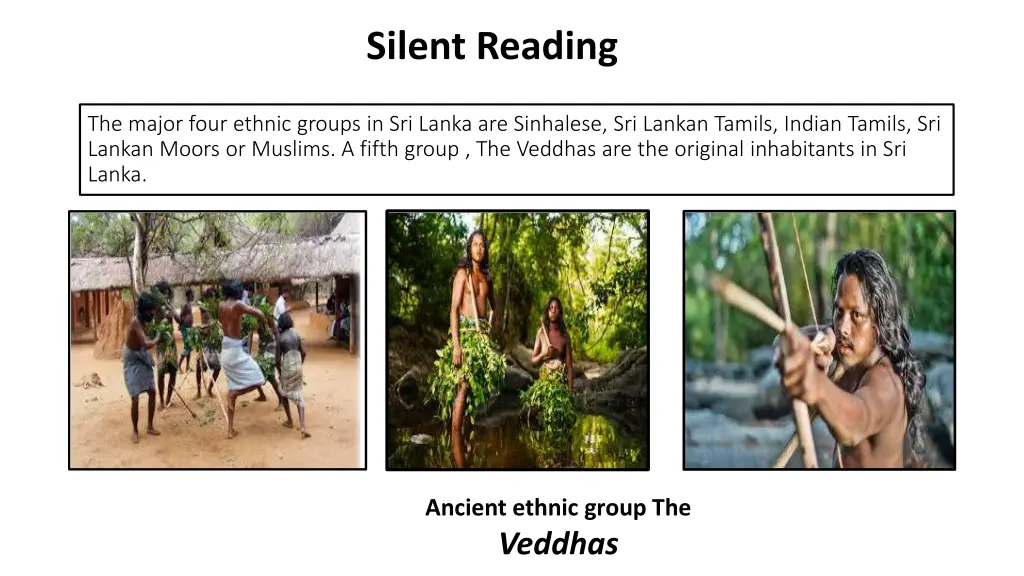 silent reading 8