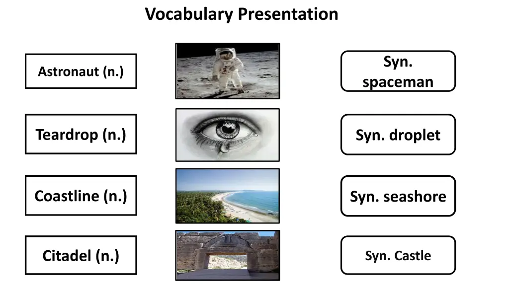 vocabulary presentation