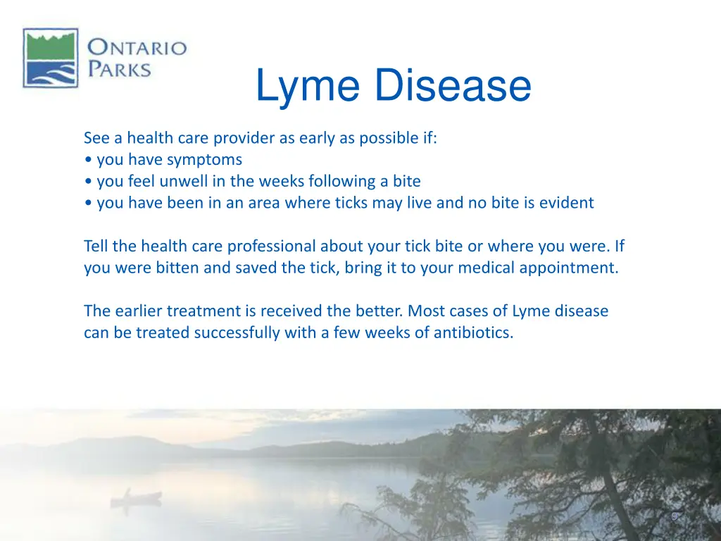 lyme disease 2