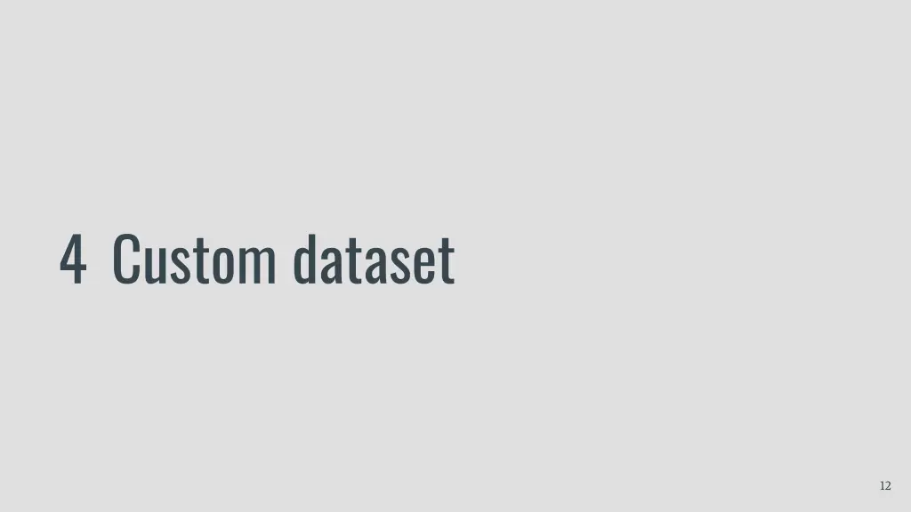 4 custom dataset