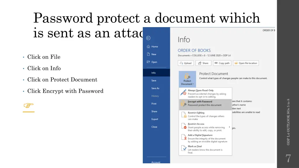 password protect a document wihich is sent