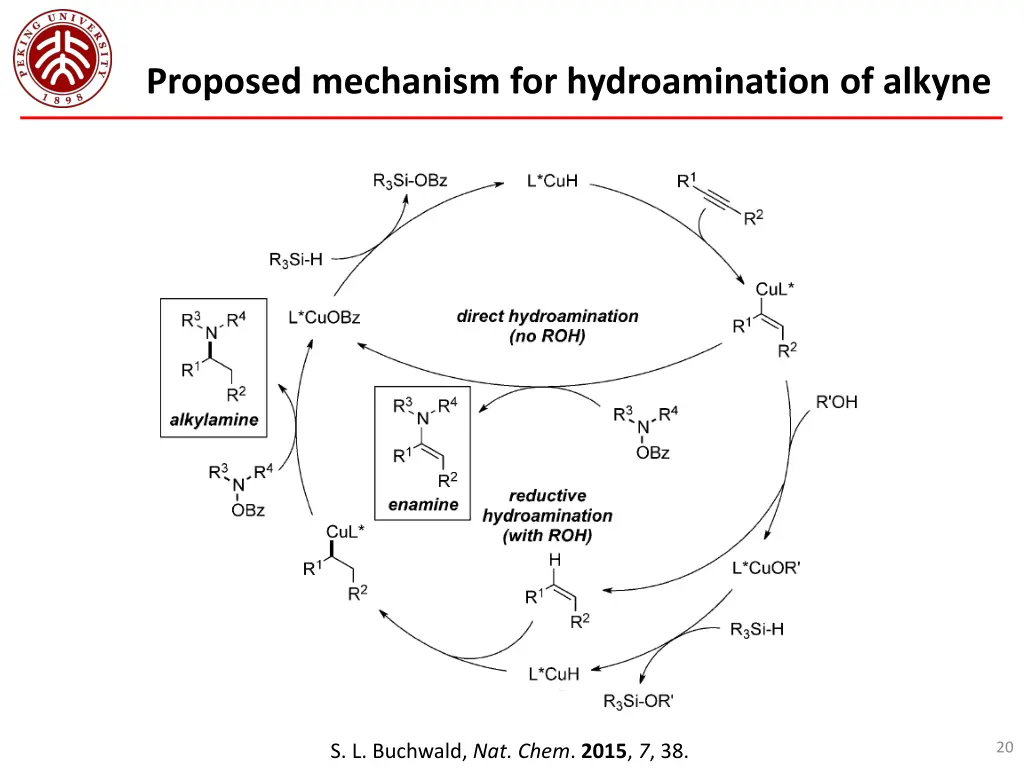 proposed mechanism for hydroamination of alkyne