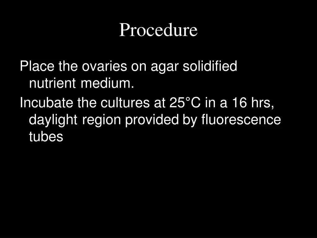 procedure 6