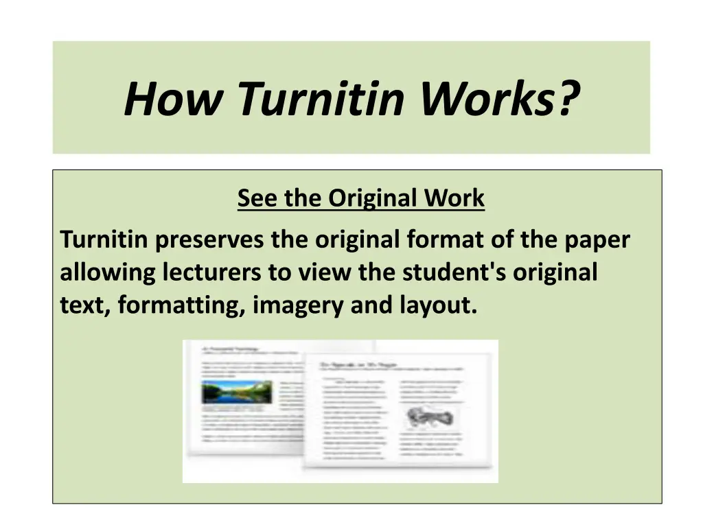 how turnitin works