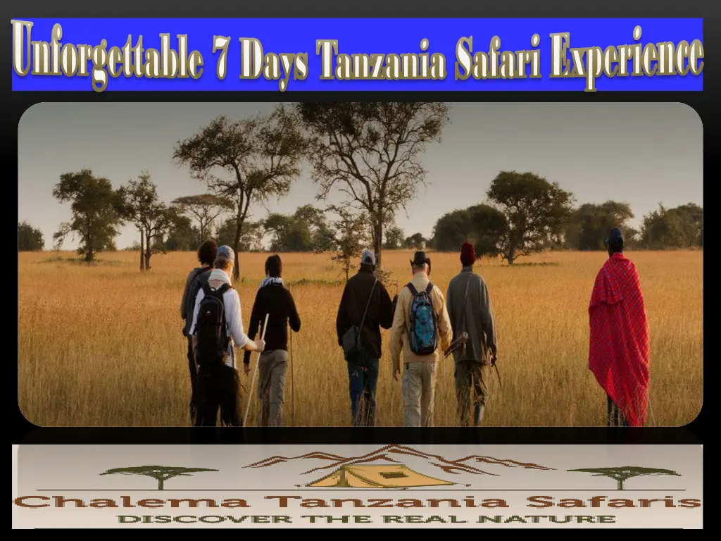 unforgettable 7 days tanzania safari experience 2