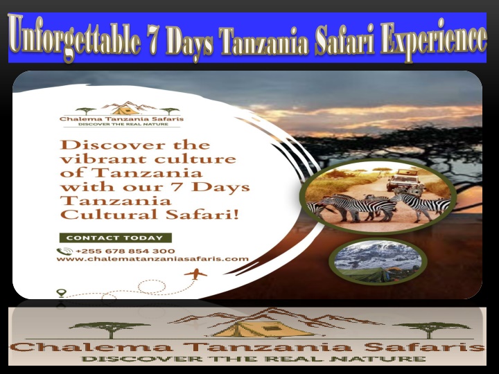 unforgettable 7 days tanzania safari experience