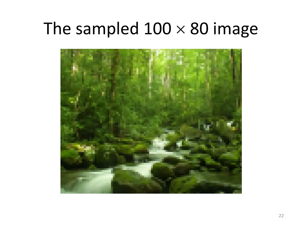 the sampled 100 80 image