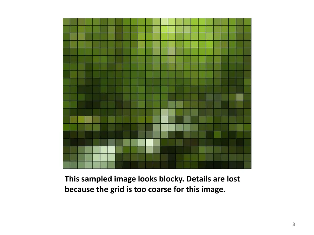 this sampled image looks blocky details are lost