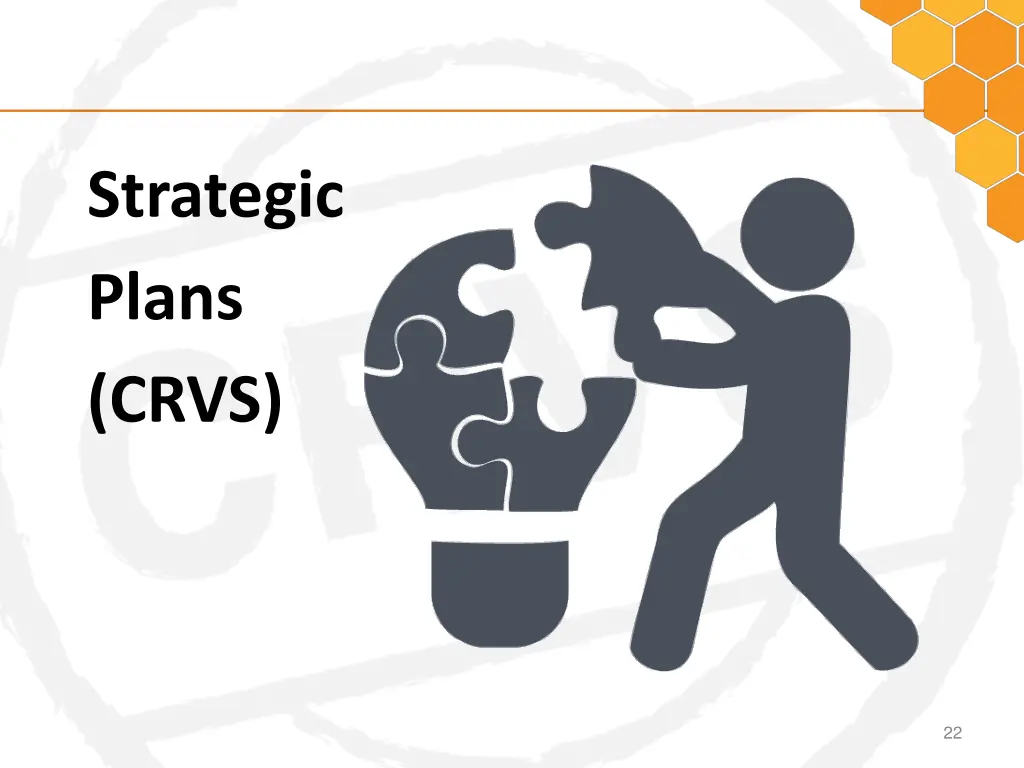 strategic plans crvs