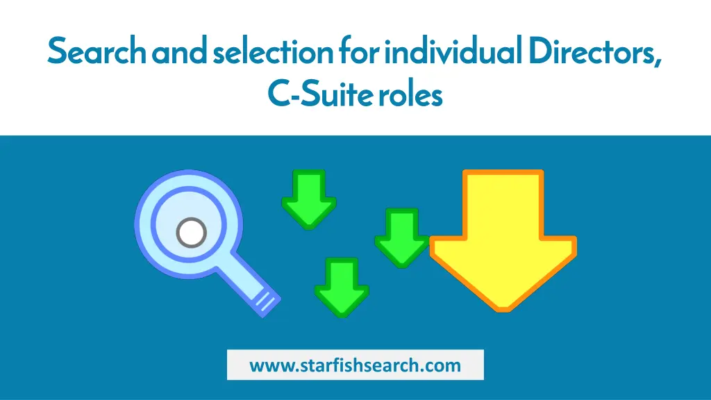 search and selection for individual directors