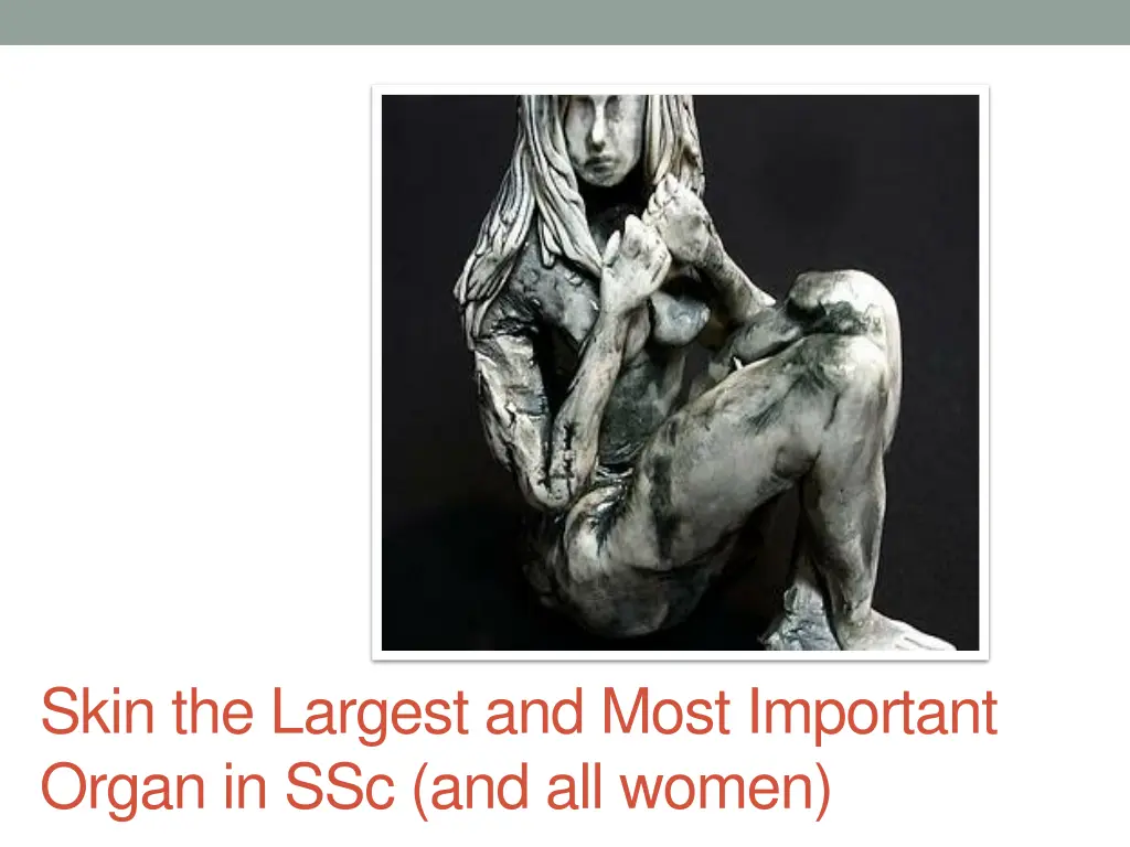 skin the largest and most important organ