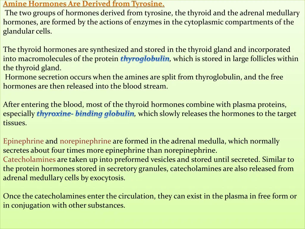 amine hormones are derived from tyrosine