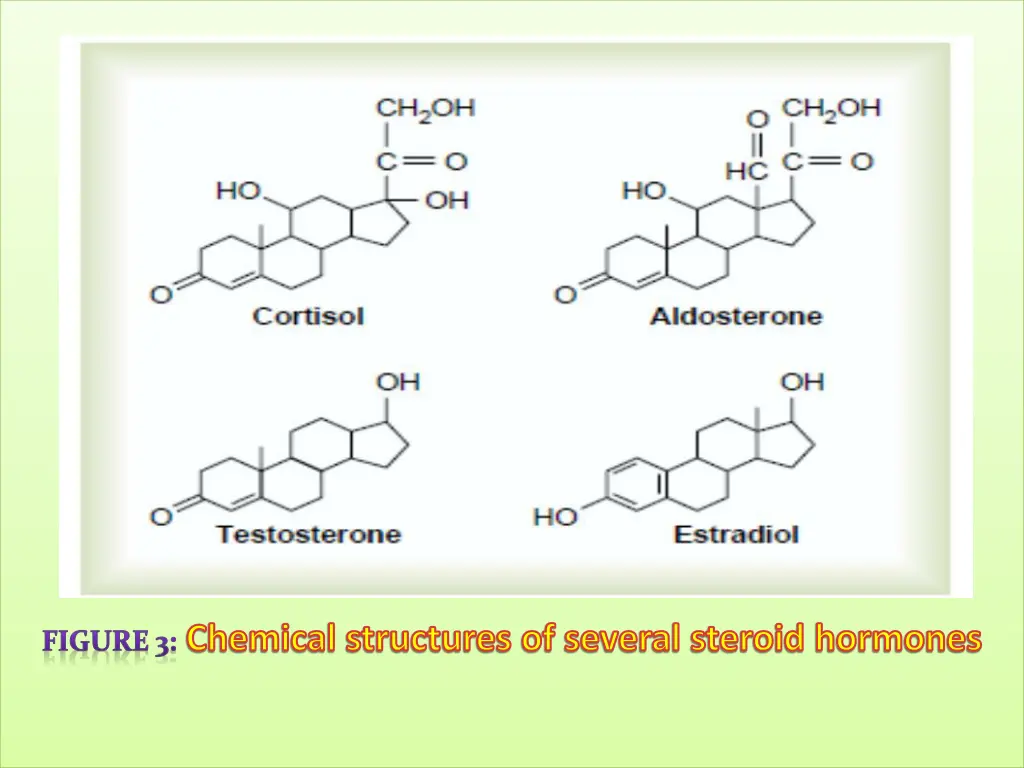 figure 3 chemical structures of several steroid