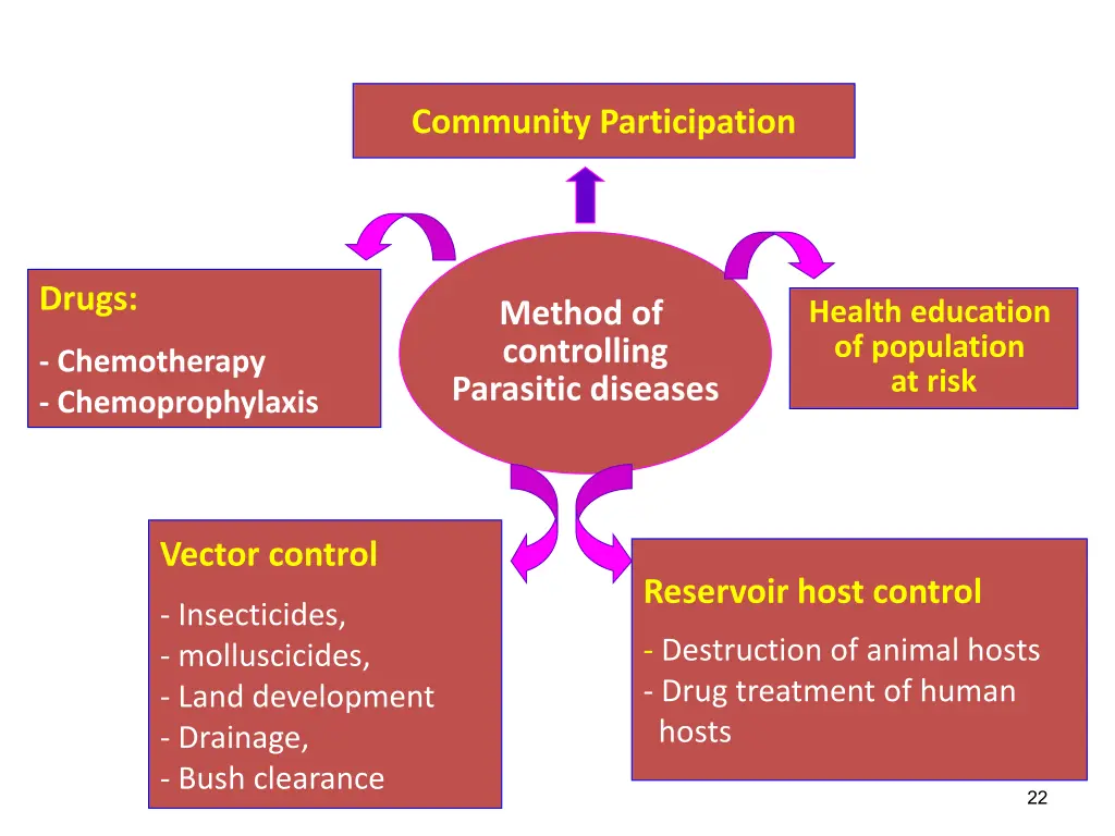 community participation