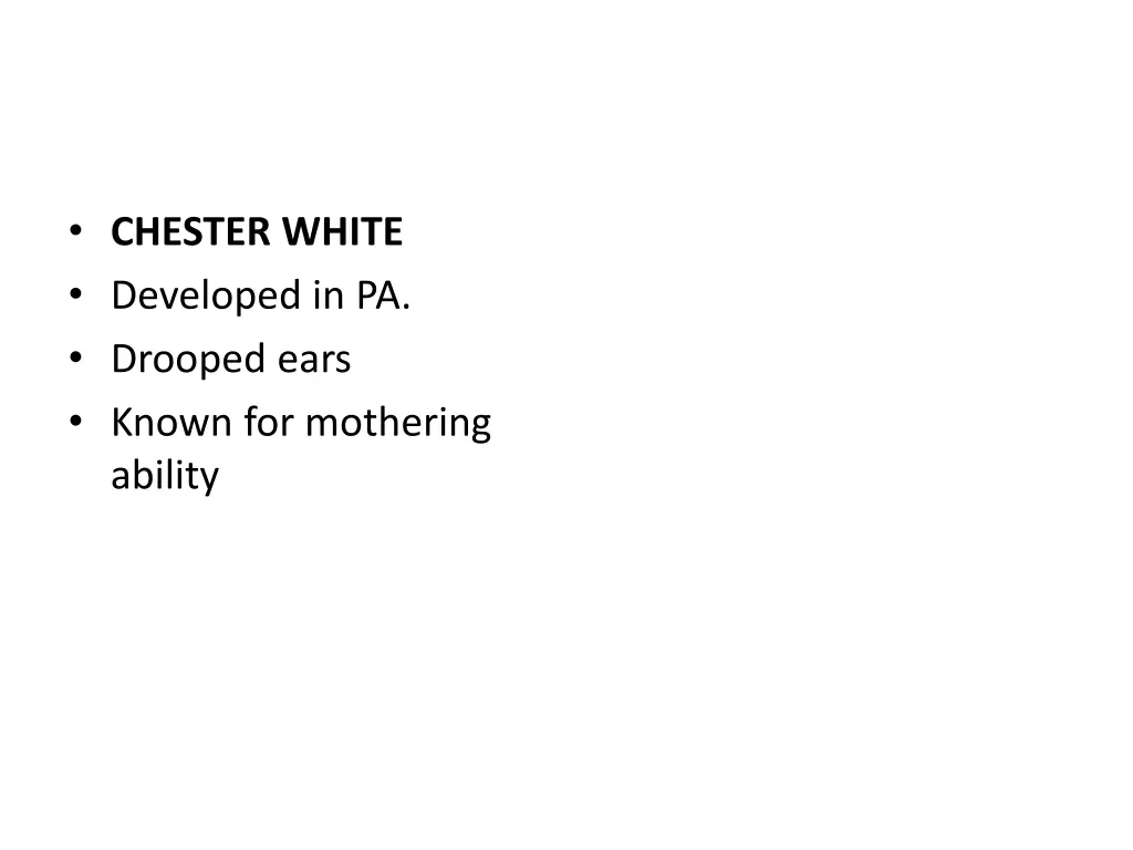 chester white developed in pa drooped ears known