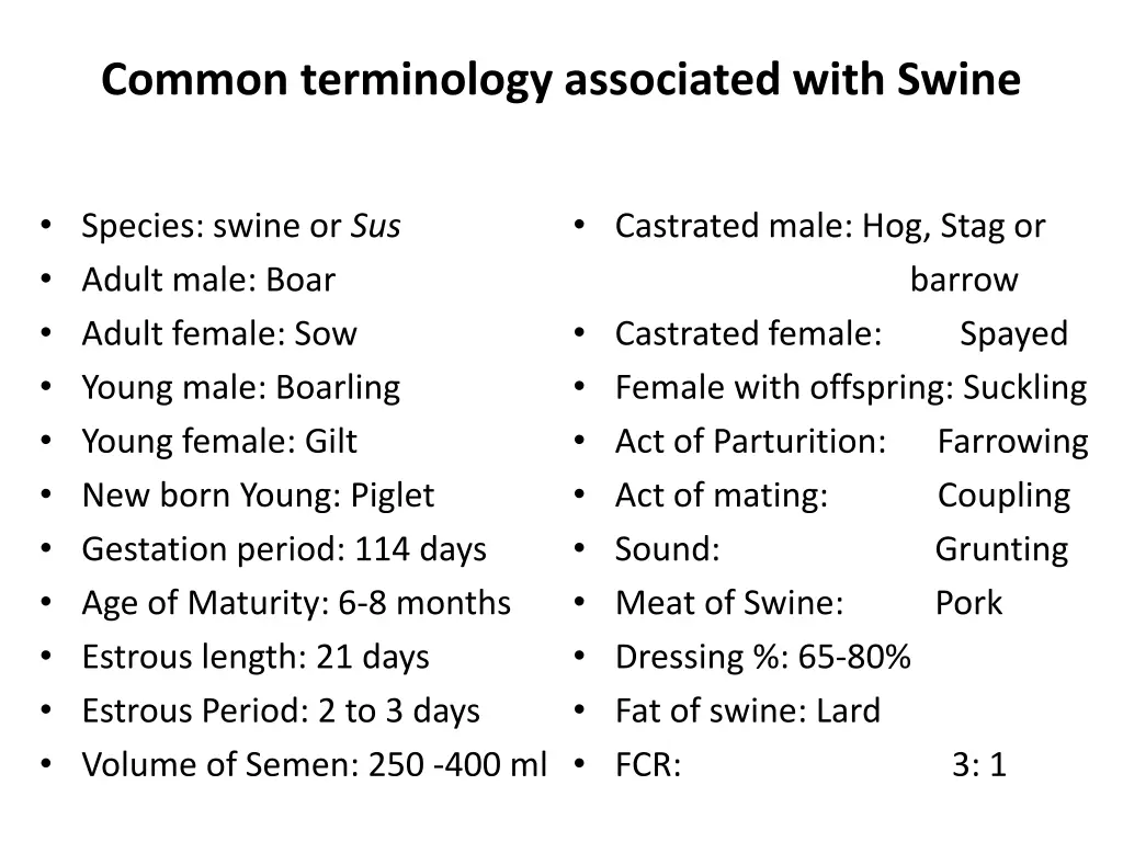 common terminology associated with swine