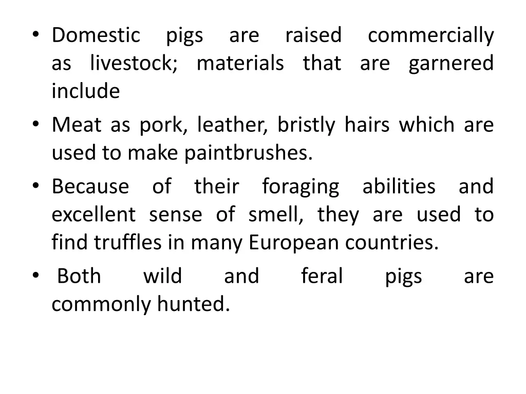 domestic pigs are raised commercially