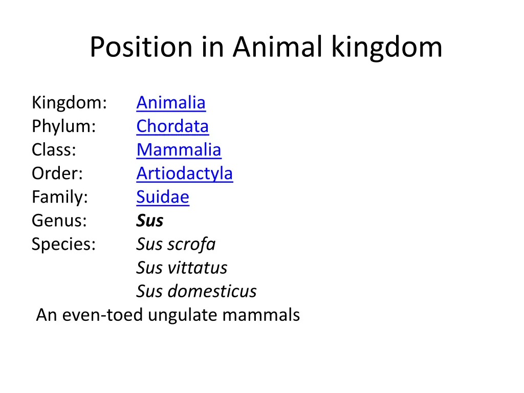 position in animal kingdom