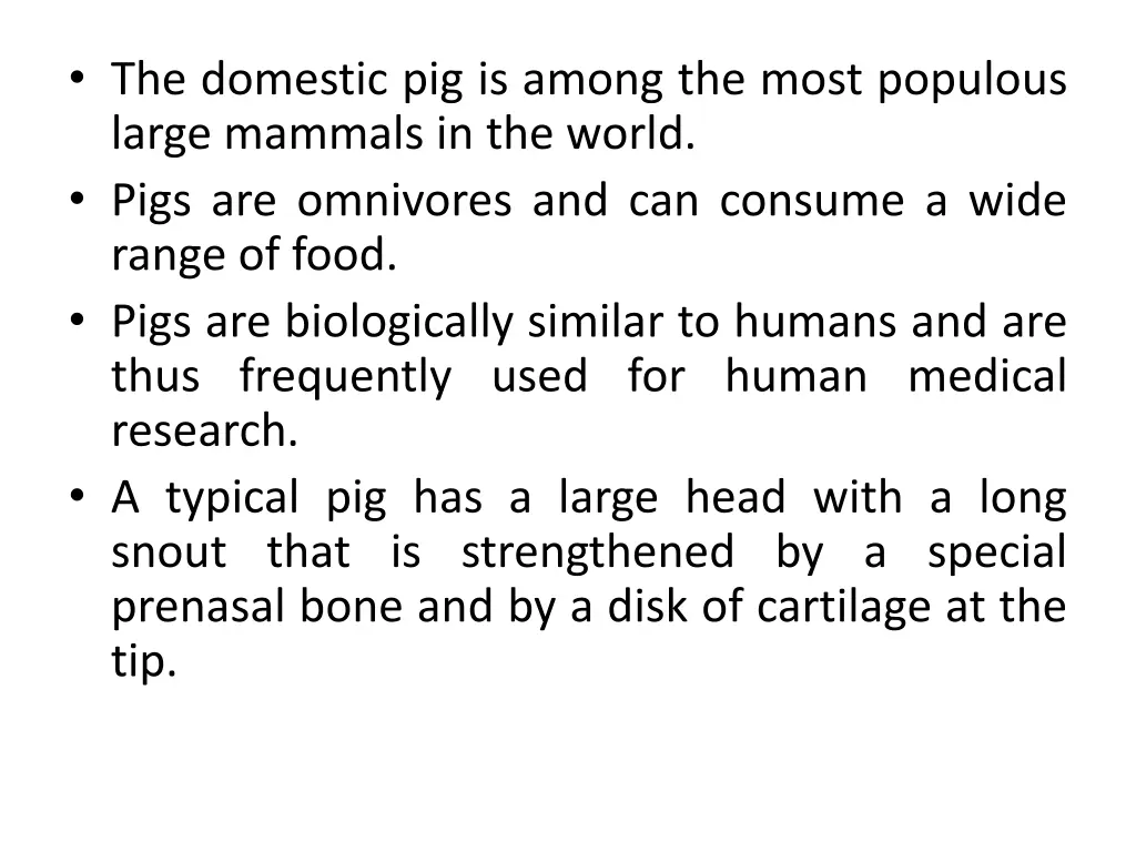 the domestic pig is among the most populous large