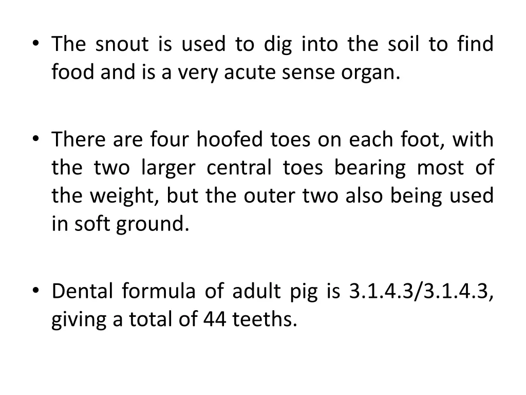 the snout is used to dig into the soil to find