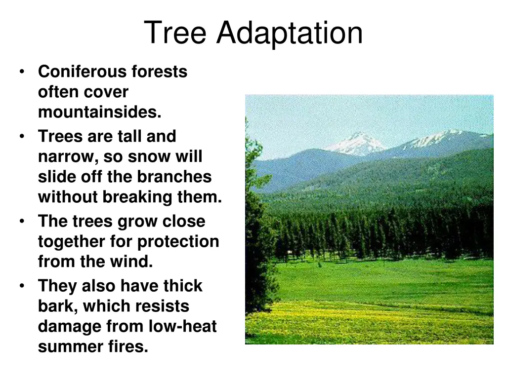 tree adaptation