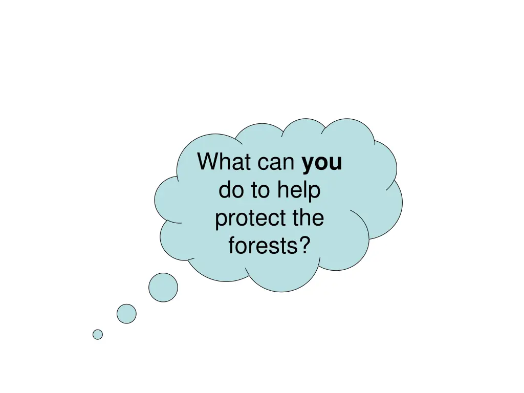 what can you do to help protect the forests