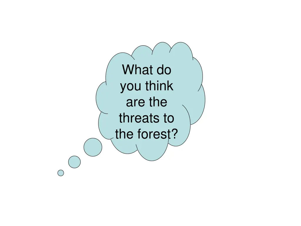 what do you think are the threats to the forest